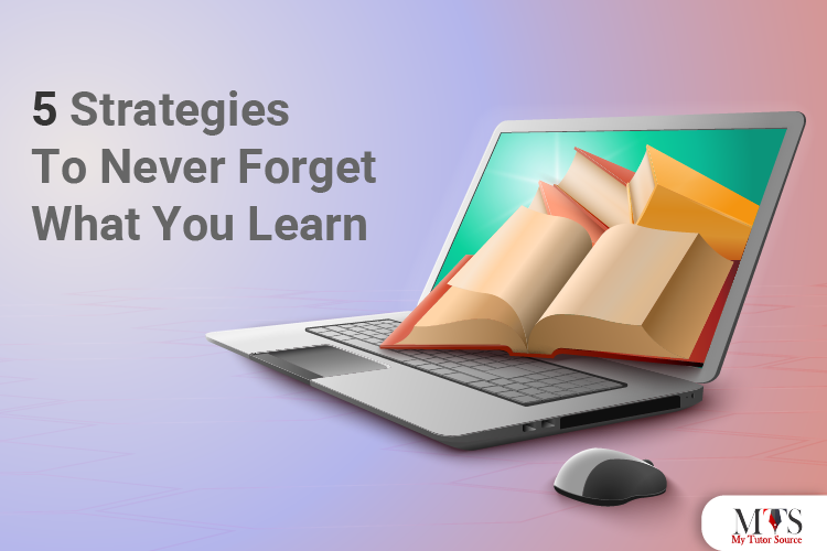 5 Strategies To Never Forget What You Learn